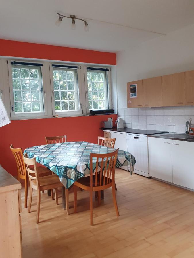 Zentral Gelegene Wohnung Mit Grossem Garten Interlaken Exterior photo
